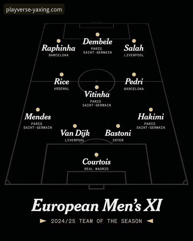 欧美杯赛事取消事件的专业分析